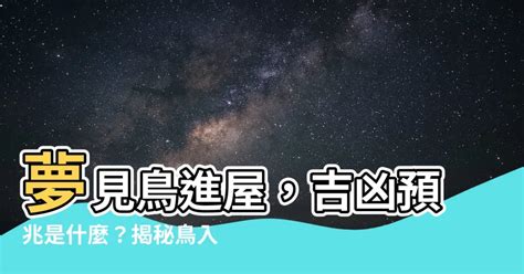 夢見鳥飛進家裡號碼|【有鳥飛進家裏】有鳥飛進家裡！破解常見迷信，揭開牠飛來的真。